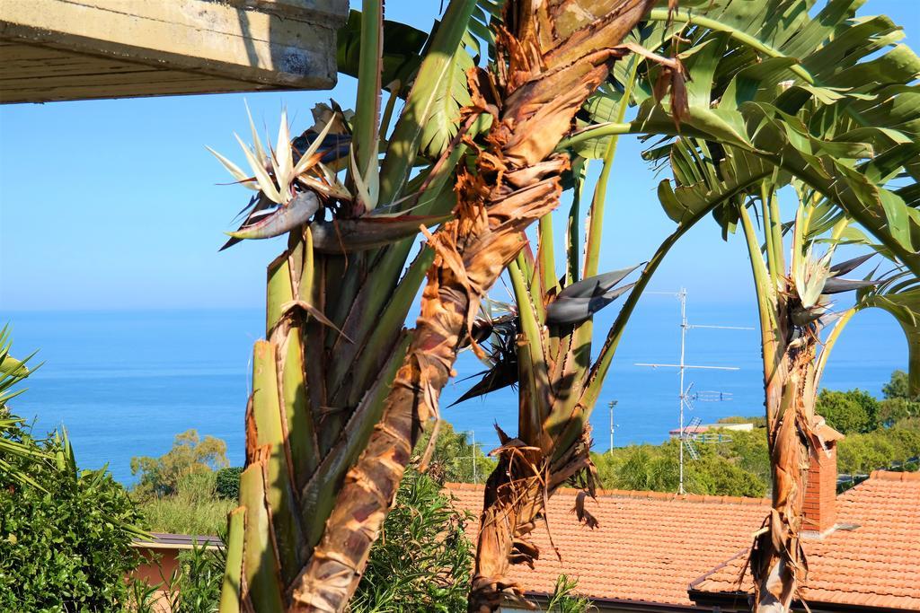 Appartement Alba
